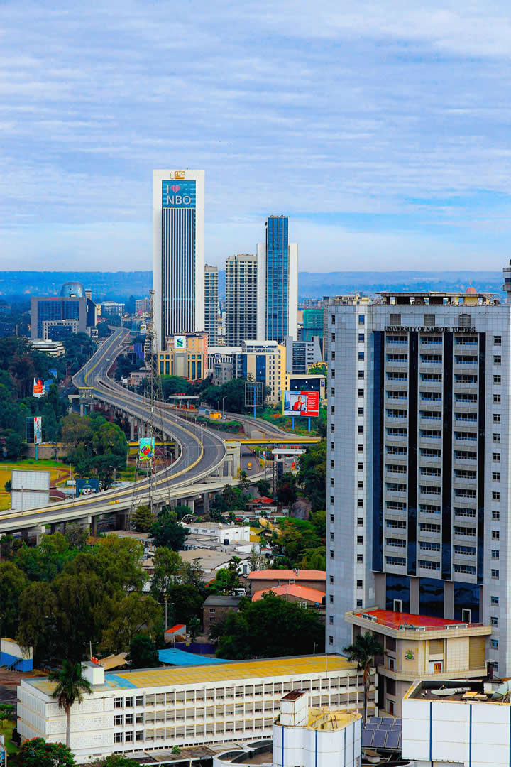 TransArika Real Estates- Nairobi Landscape